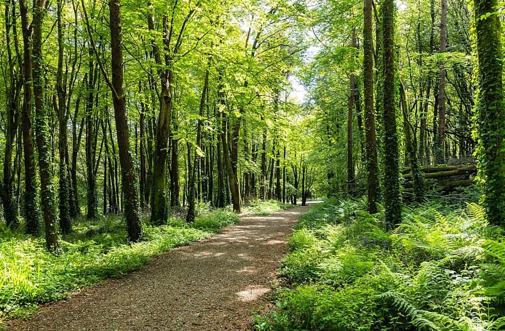 Castlefreke Walks & Trails